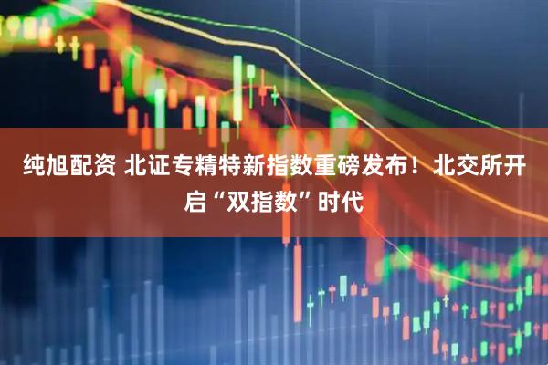 纯旭配资 北证专精特新指数重磅发布！北交所开启“双指数”时代