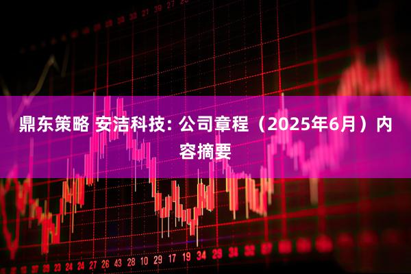 鼎东策略 安洁科技: 公司章程（2025年6月）内容摘要