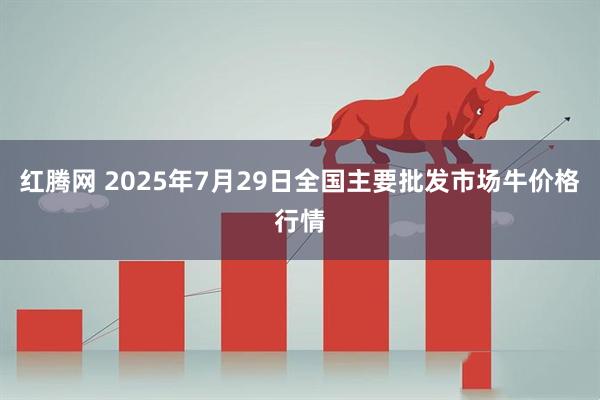红腾网 2025年7月29日全国主要批发市场牛价格行情