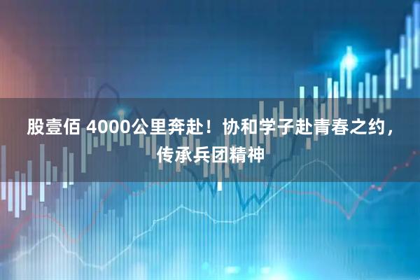 股壹佰 4000公里奔赴！协和学子赴青春之约，传承兵团精神
