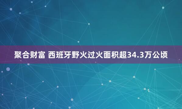聚合财富 西班牙野火过火面积超34.3万公顷