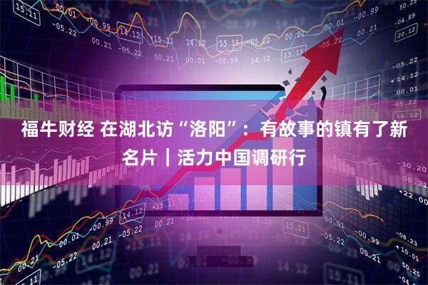 福牛财经 在湖北访“洛阳”：有故事的镇有了新名片｜活力中国调研行