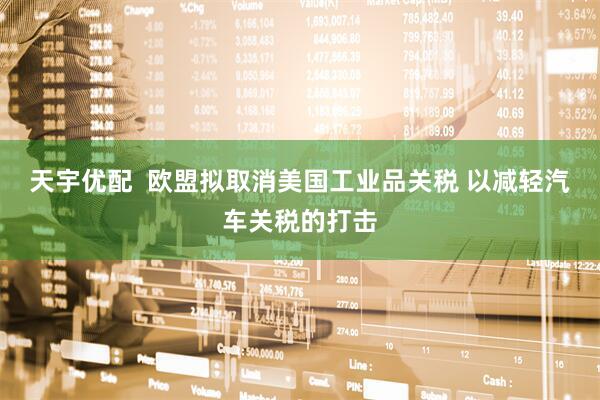 天宇优配  欧盟拟取消美国工业品关税 以减轻汽车关税的打击