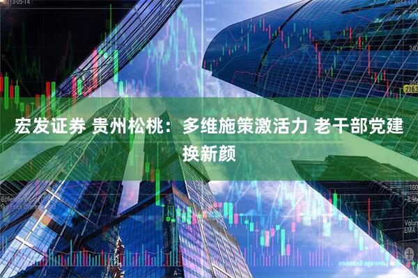 宏发证券 贵州松桃：多维施策激活力 老干部党建换新颜