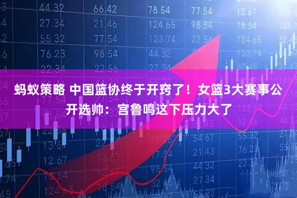 蚂蚁策略 中国篮协终于开窍了！女篮3大赛事公开选帅：宫鲁鸣这下压力大了