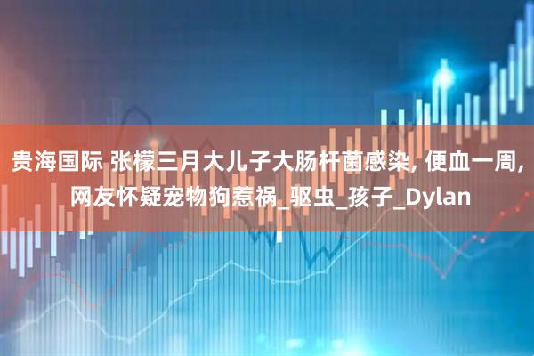 贵海国际 张檬三月大儿子大肠杆菌感染, 便血一周, 网友怀疑宠物狗惹祸_驱虫_孩子_Dylan